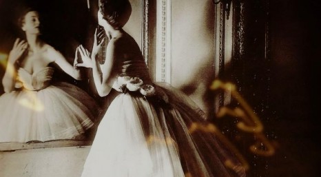 scents and sensibilities