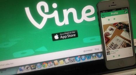 Vine