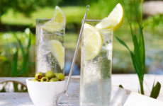 world gin day